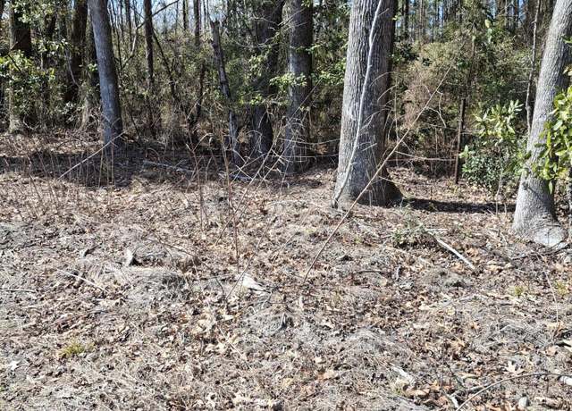 Property at 0 County Line Rd, Ravenel, SC 29470
