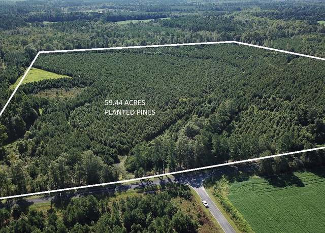 Property at 00 Johnsville, Smoaks, SC 29481