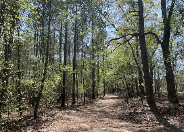 Property at 000 Jameson Farm Rd, Cope, SC 29038