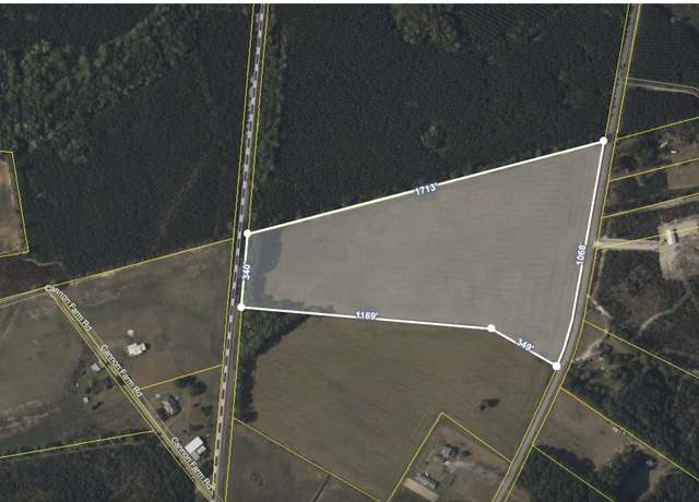 Property at 0 Morrisville Rd, Andrews, SC 29510