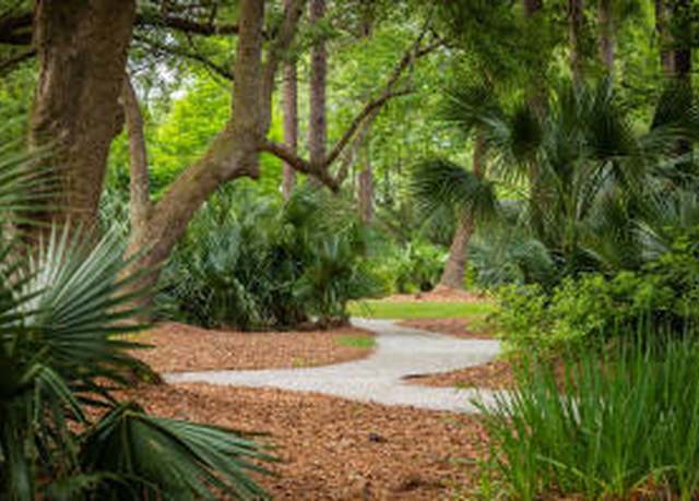 Property at 230 Grand Park Blvd, Charleston, SC 29492