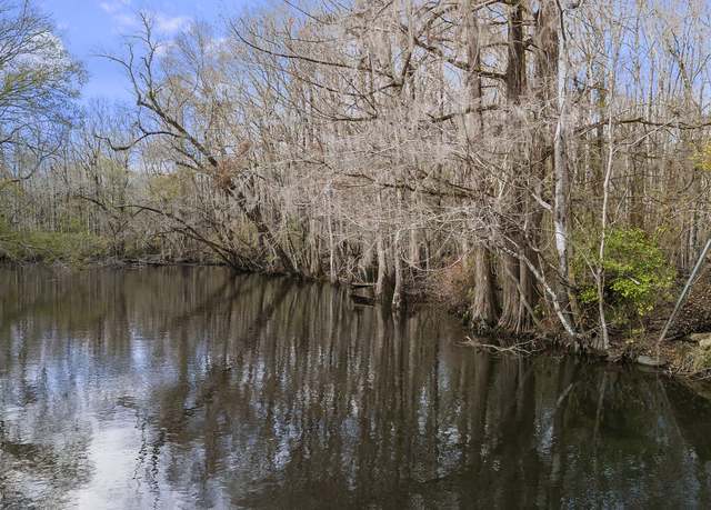 Property at 776 Shillings Bridge Rd, Orangeburg, SC 29118