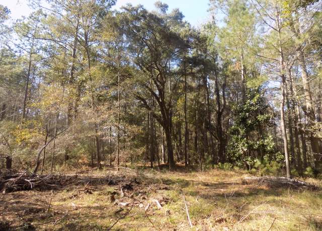 Property at 2323 Highway 174, Edisto Island, SC 29438