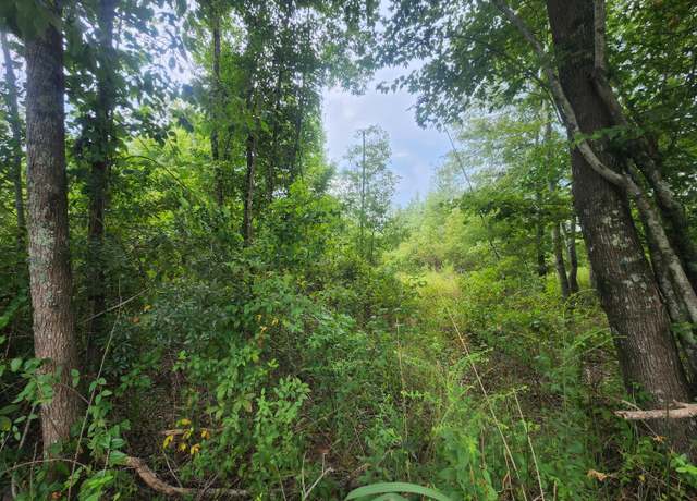 Property at 1 Freedom Rd, Branchville, SC 29432