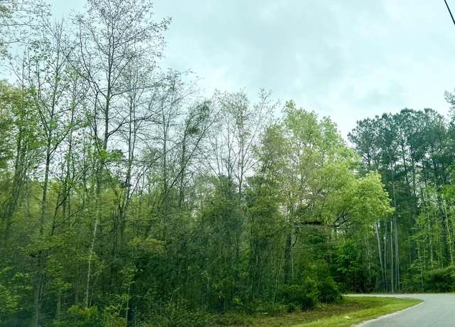 Property at 0 Glen St, Walterboro, SC 29488