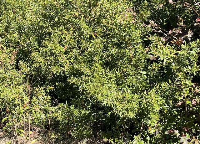 Property at 0 Ardwick Rd, Johns Island, SC 29455