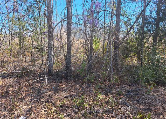 Property at S-38-200 Laval Rd, Santee, SC 29142