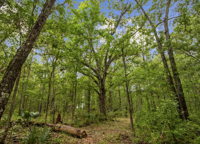 Property at 4848 Woodville Rd, Awendaw, SC 29429