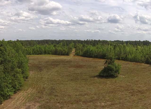 Property at 001 Alonzo Rd, Saint George, SC 29477