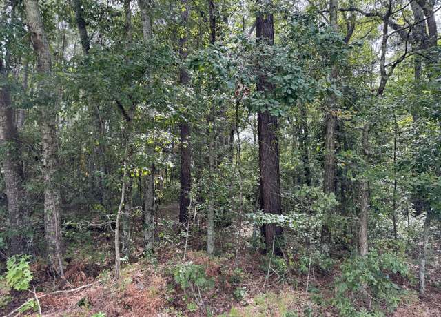 Property at 0 Wertz St, Orangeburg, SC 29115