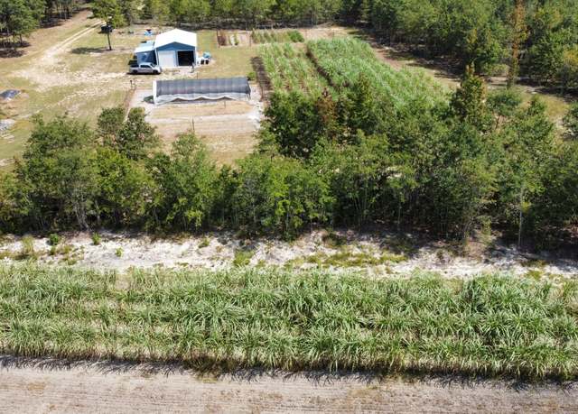 Property at 449 Gum Swamp Rd, Latta, SC 29565