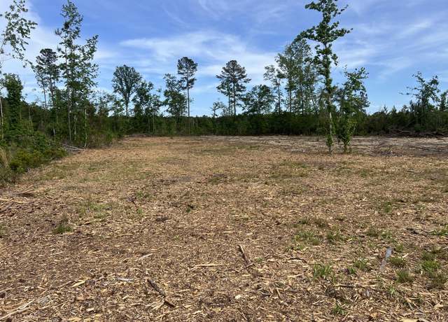 Property at 71 Herndon St Unit Tract B-6, Walterboro, SC 29488