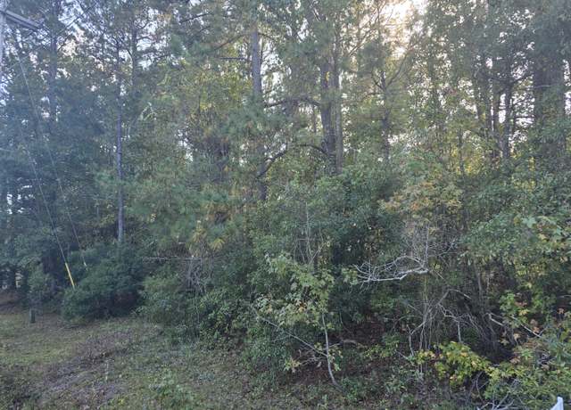Property at 000 Haynesville Ext Rd, Moncks Corner, SC 29461
