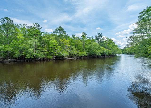 Property at 0 Hannibal Trl, Ridgeville, SC 29472