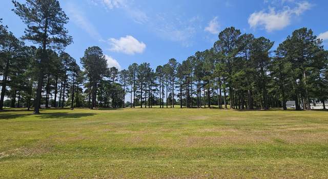 Photo of 423 Pinelake Ct, Manning, SC 29102