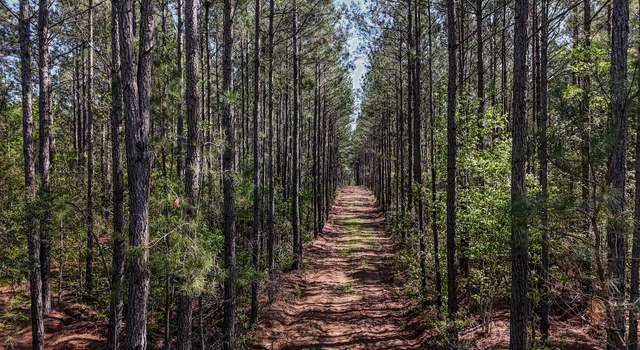 Photo of 0 Phillips Church Rd, Bishopville, SC 29010