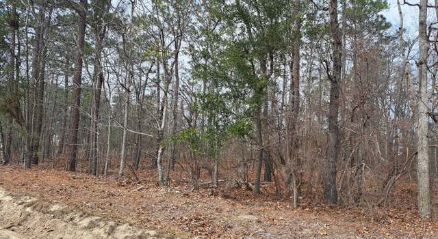 Photo of 01 Ripley Ct, Elloree, SC 29047