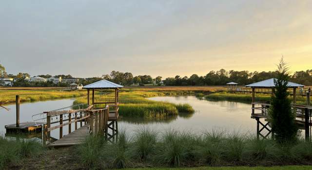 Photo of 1683 Langur Ct, Mount Pleasant, SC 29466