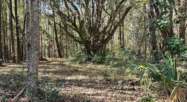 Photo of 1667 Blues Ln, Edisto Island, SC 29438