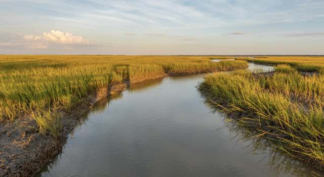 Photo of 1569 Red Tide Rd, Mount Pleasant, SC 29466