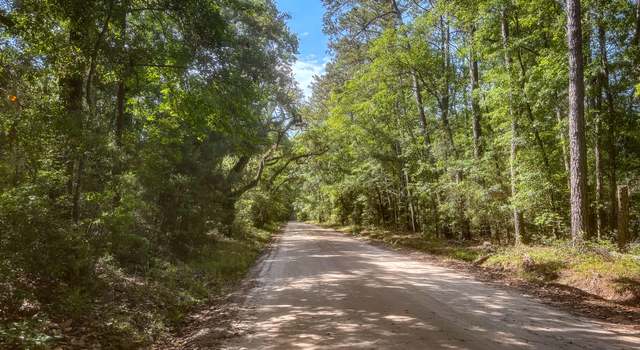 Photo of 2127 Leadenwah Dr, Wadmalaw Island, SC 29487