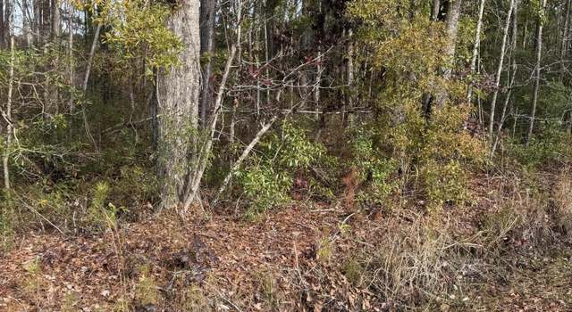 Photo of 0 Appleby Rd, Ruffin, SC 29475