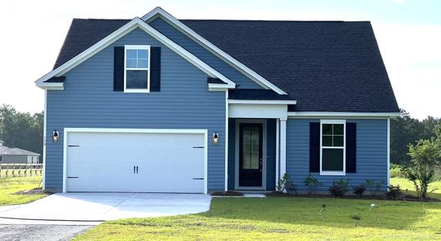 Photo of 139 Dantzler Rd, Harleyville, SC 29448