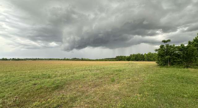 Photo of 0 Broxton Bridge Hwy, Lodge, SC 29082