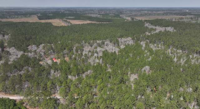 Photo of 0 Log Cabin Ln, Smoaks, SC 29481