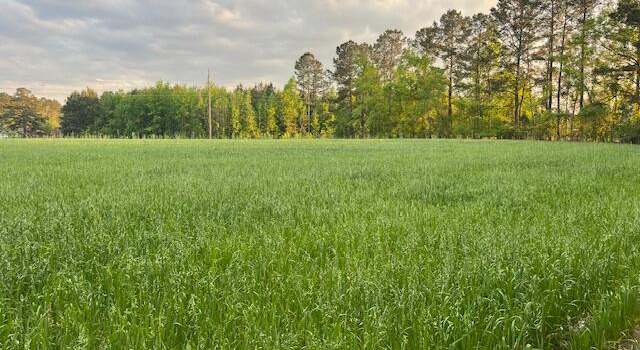 Photo of 0 Lodge Hwy, Lodge, SC 29082