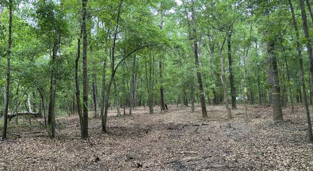 Photo of 0 Highway 162 Lot 7, Hollywood, SC 29449