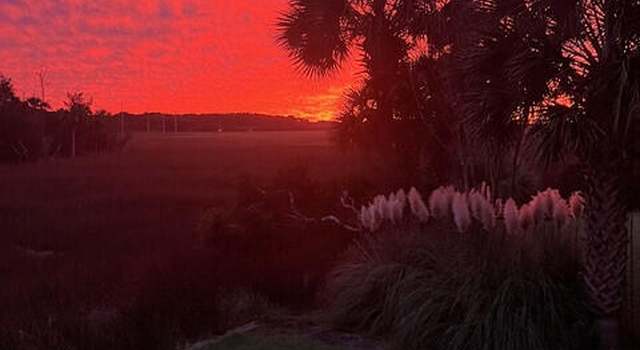 Photo of 324 Wild Horse Ln, Mount Pleasant, SC 29464