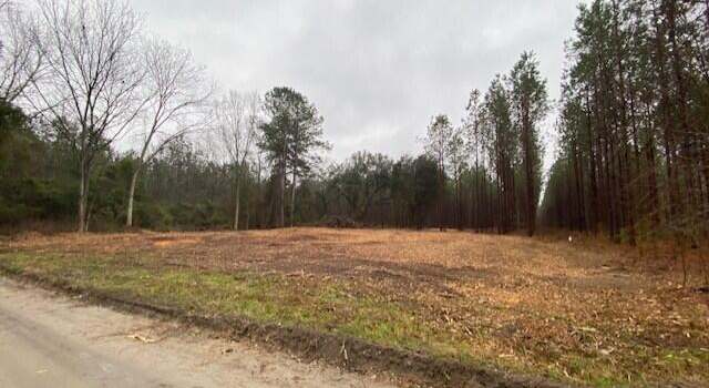 Photo of 0 Weeping Cherry Ln, Manning, SC 29102