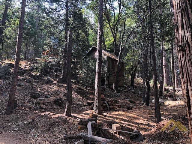 10621 Spruce Dr, Wofford Heights, CA 93285 | MLS ...