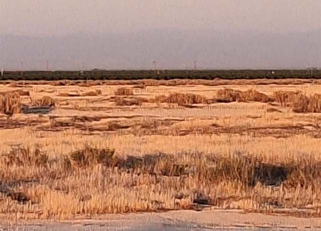 Property at 0 Pond, Wasco, CA 93280