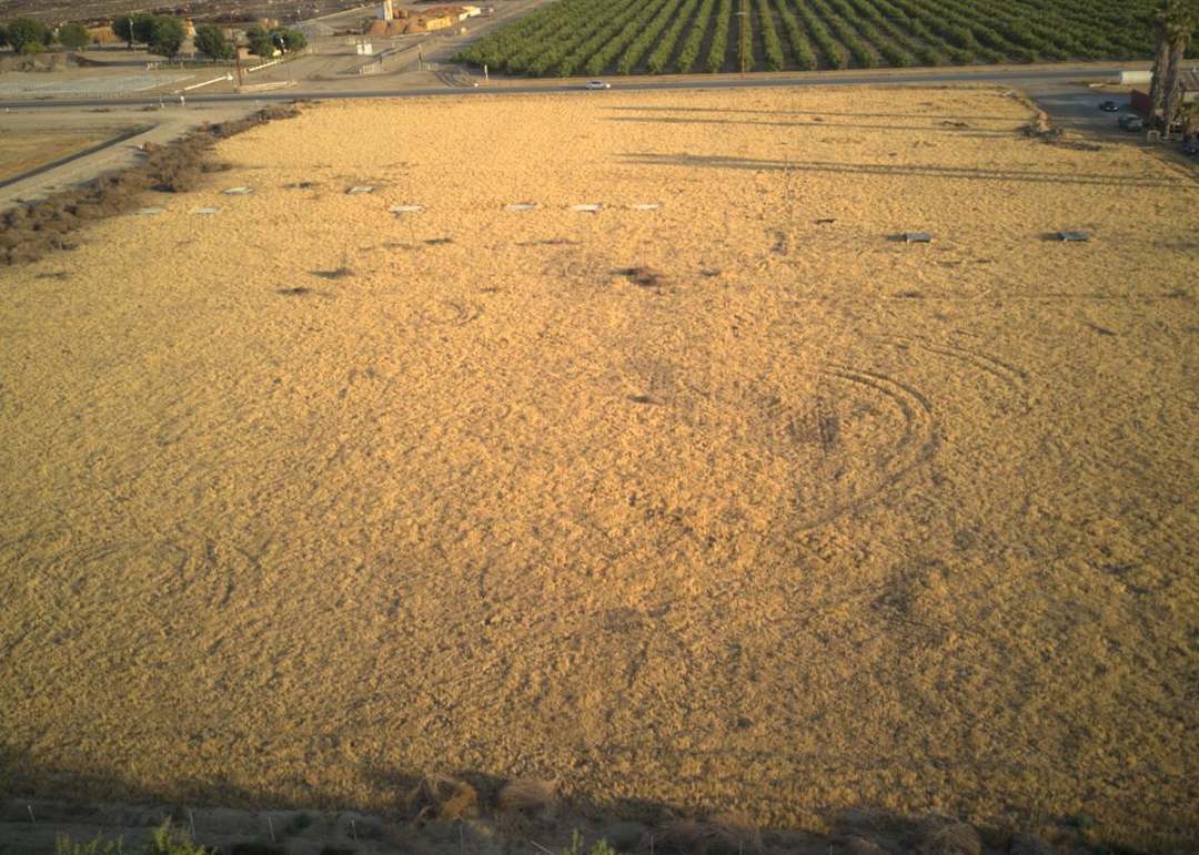 7926 Bear Mountain Blvd, Bakersfield, CA 93313