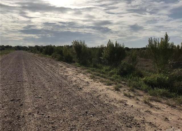 Property at 00 Conway Ave, Mission, TX 78572
