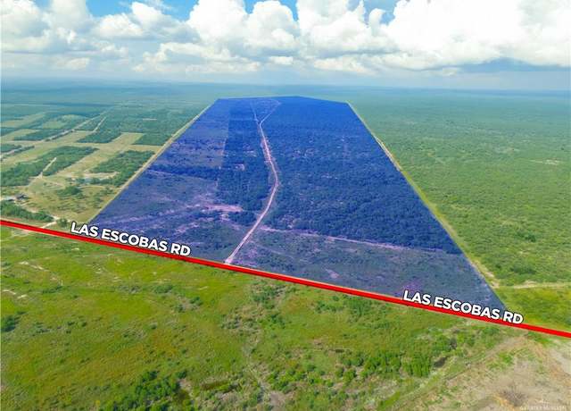 Property at 0 Las Escobas Rd, Roma, TX 78584