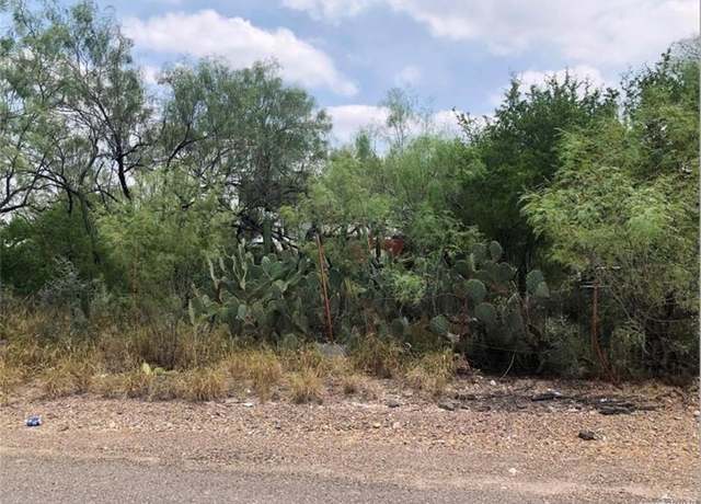 Property at 0000 Ebony Ave, Roma, TX 78584