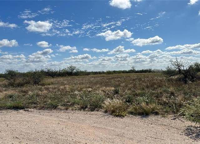 Property at Lot #11  2007 FM 755, Encino, TX 78353