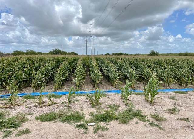 Property at TBD N Gonzalez Rd N, Progreso, TX 78579