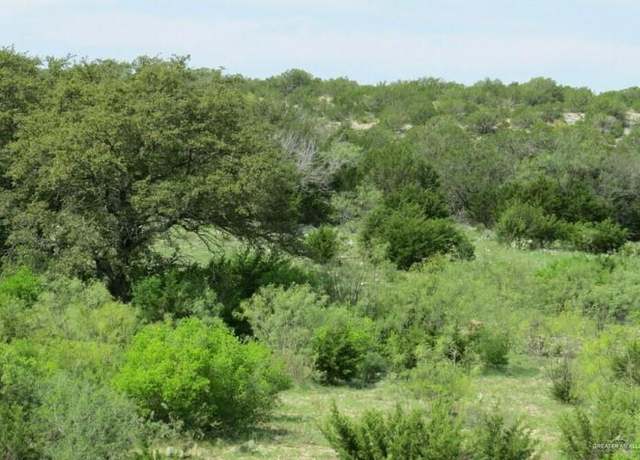 Property at 0000-12 San Julian Rd, Roma, TX 78584