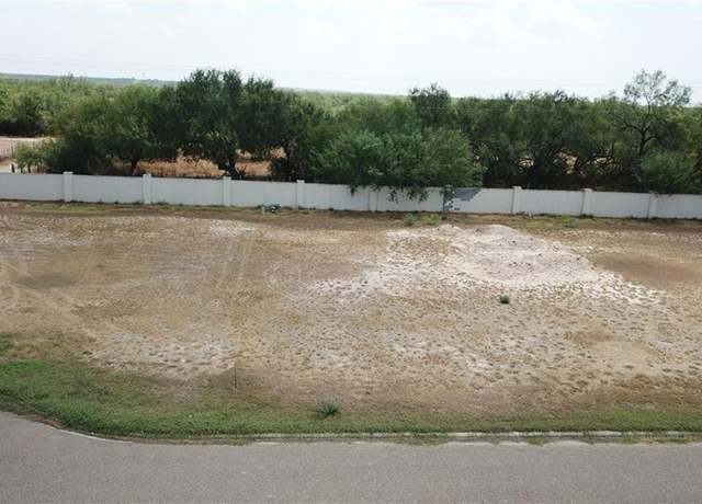 Property at 313 River Wood St, Rio Grande City, TX 78582