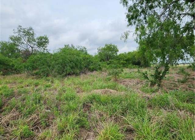 Property at n/a Ranchito St, Edinburg, TX 78542
