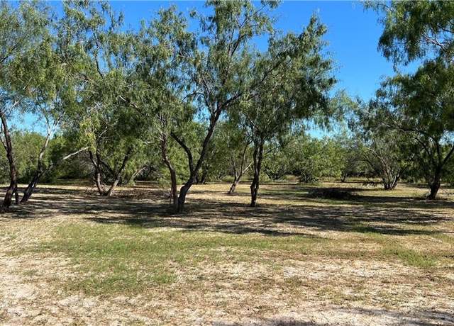Property at 119 E Dawson St, Edinburg, TX 78539
