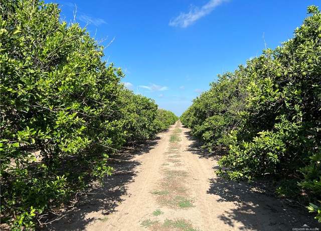 Property at 10.75 Mi N Western Rd, Edinburg, TX 78541