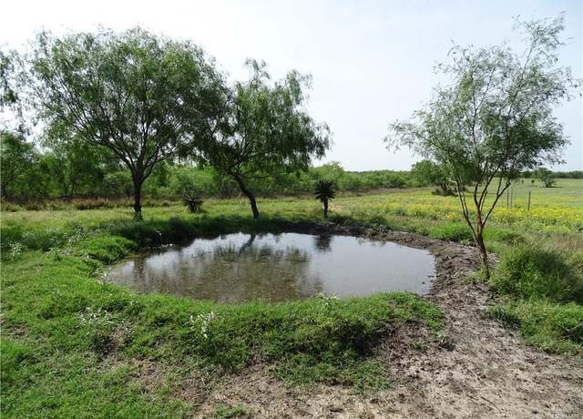 Property at 0 FM 2294 Hwy, San Isidro, TX 78588