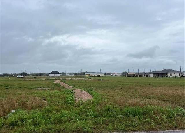 Property at 10507 Crocosmia Rd, Elsa, TX 78538