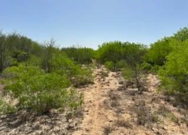 Property at 000 CR 231, Premont, TX 78375