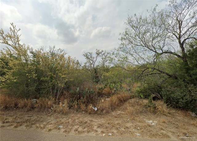 Property at 5323 San Pascual, Zapata, TX 78076